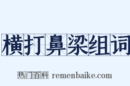 横打鼻梁组词是什么意思的图片